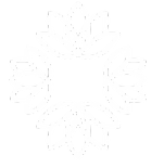 www.drajulianagineco.com.br favicon